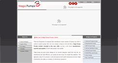 Desktop Screenshot of nagapumps.com